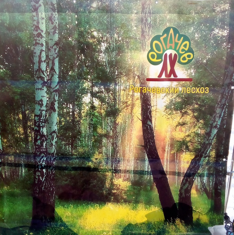 Лесхоз рогачев
